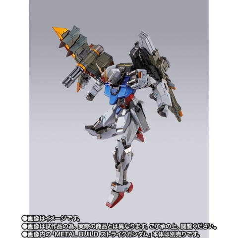 METAL BUILD Launcher Striker -METAL BUILD 10th Ver.-