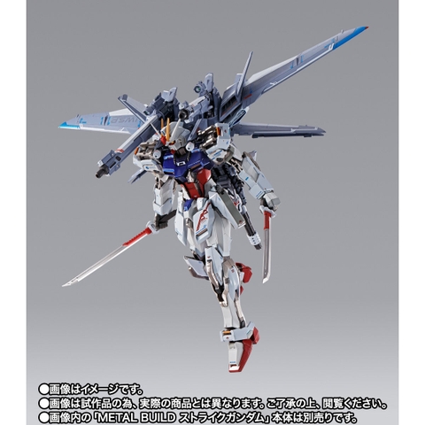 METAL BUILD I.W.S.P. [Integrated Weapons Striker Pack]