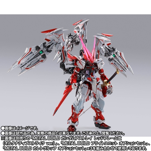 METAL BUILD Astray Ddraig Head Option Set