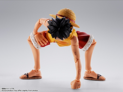 S.H.Figuarts Monkey D. Luffy -Marineford-