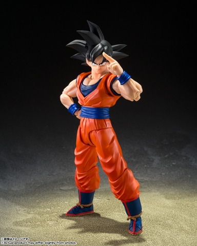 S.H.Figuarts Son Goku <The Kind-hearted Saiyan>