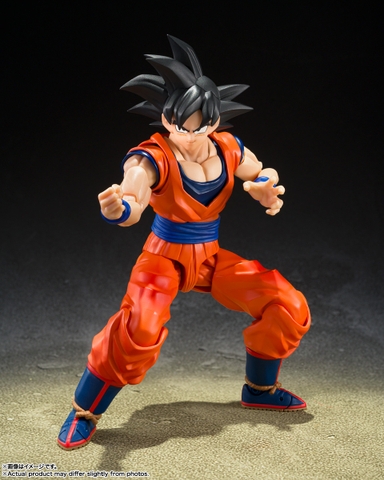 S.H.Figuarts Son Goku <The Kind-hearted Saiyan>