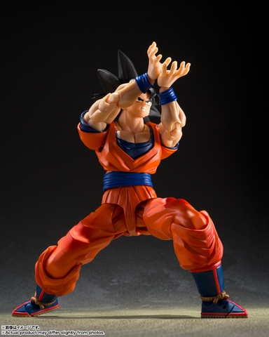 S.H.Figuarts Son Goku <The Kind-hearted Saiyan>