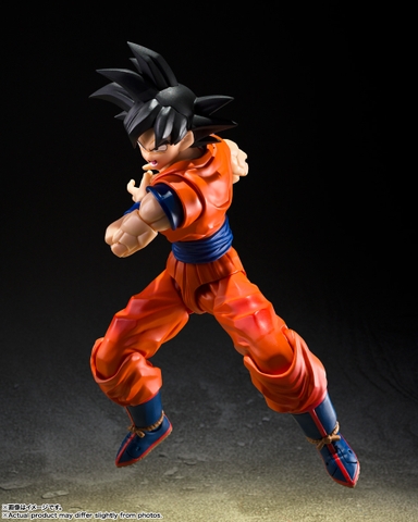 S.H.Figuarts Son Goku <The Kind-hearted Saiyan>