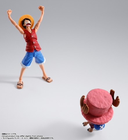 S.H.Figuarts Tony Tony Chopper -Drum Island-