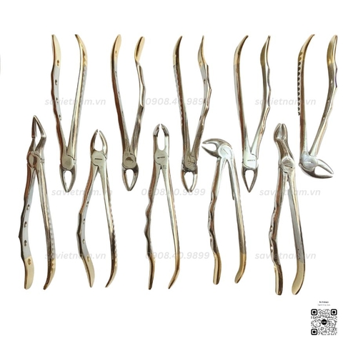 Kìm nhổ răng người lớn cán vàng Prime