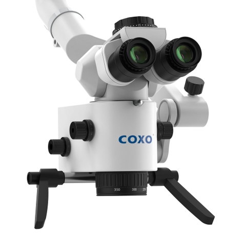 Kính hiển vi nha khoa Coxo C-CLEAR-1