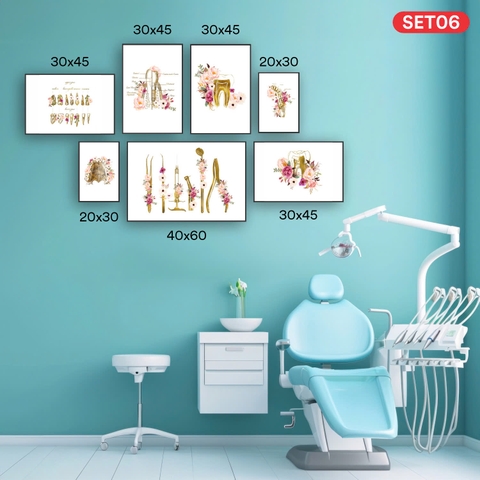Set tranh nha khoa - SET06