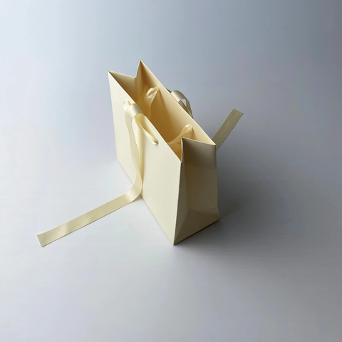 Túi Giấy Ivory in Màu Size 25x28x9cm