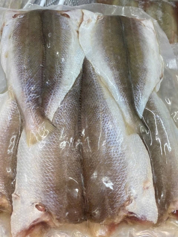 Cá Lanh 1 nắng (500g)