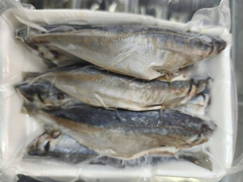 Cá Nục 1 nắng (gói 500g giá 80000đ)