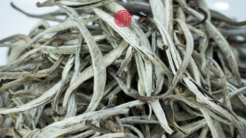 Bạch Trà Dưới Góc Nhìn Đông Y
