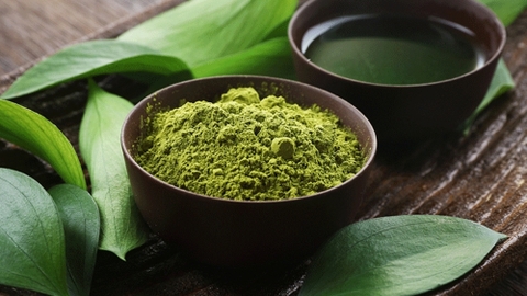 Matcha uống mỗi ngày có tốt không? – Lợi ích, lưu ý về liều lượng