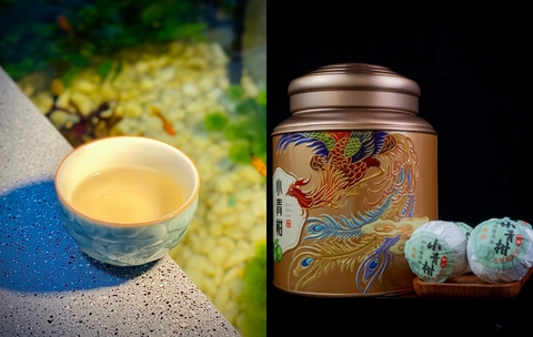 Phổ Nhĩ Quýt Bản Giao Hưởng Giữa Vị Trà Và Tinh Dầu Thanh Khiết