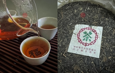Phổ Nhĩ Sống: Sự Chuyển Mình Kỳ Diệu Từ Sắc Xanh Thanh Tân Đến Màu Vàng Mật Ong