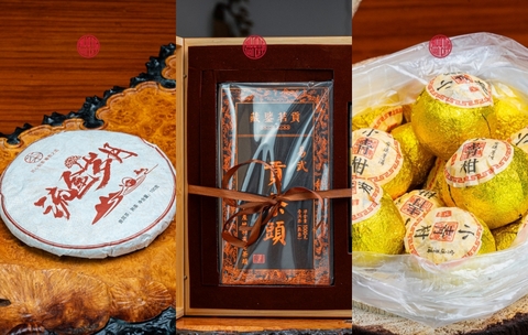 Tại Sao Phổ Nhĩ Trở Thành Lựa Chọn Của Giới Doanh Nhân