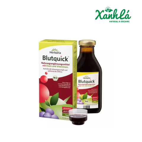 Sắt kết hợp Vitamin Blutquick 250ml
