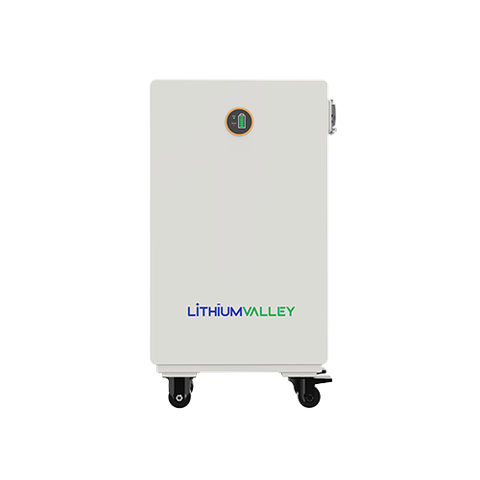Pin Lưu Trữ Điện Áp Thấp Lithium Valley W16-5A