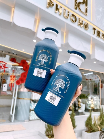 CẶP DẦU GỘI XẢ BIOTIN & COLLAGEN ESSENCE VOUDIOTY XANH