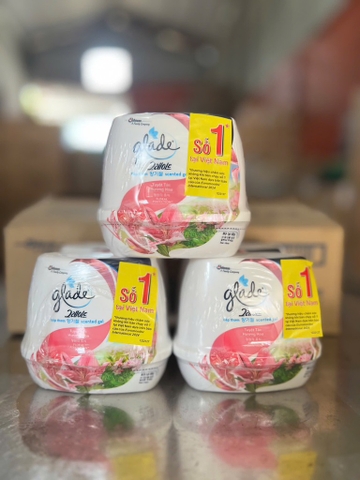 Bộ đôi sáp thơm GLADE hương cỏ hoa 180gx2/ 6 PAck