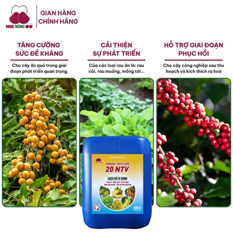 Phân bón hữu cơ Organic Fertilizer 20 NTV – can 20 lít – dạng nước
