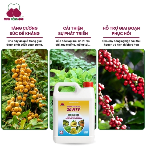 Phân bón hữu cơ Organic Fertilizer 20 NTV – can 5 lít – dạng nước