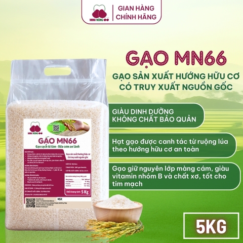 Gạo MN66 - Túi 5kg