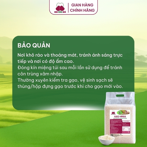Gạo MN66 - Túi 5kg