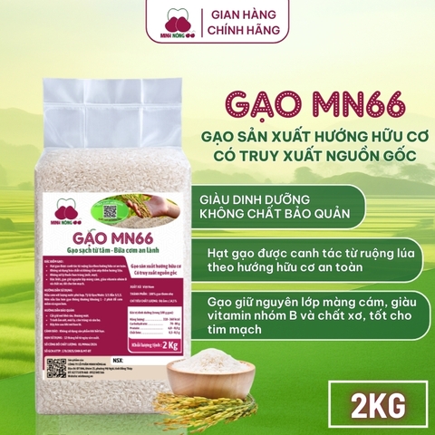 Gạo MN66 - Túi 2kg