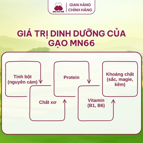 Gạo MN66 - Túi 2kg
