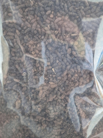 Phân dơi tự nhiên - BAT GUANO