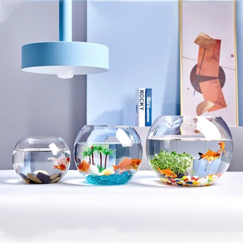Chậu cá mini để bàn kèm phụ kiện decor