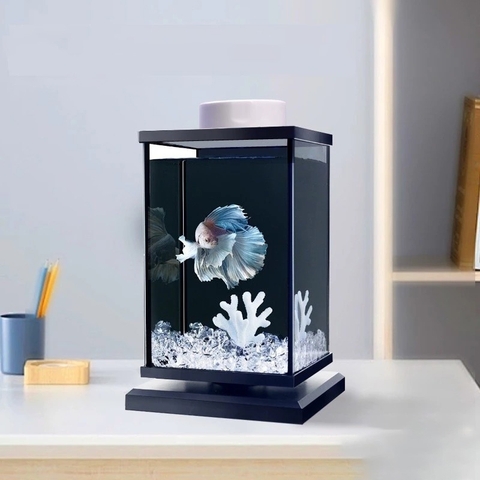 Hồ cá Betta decor để bàn xoay 360 độ