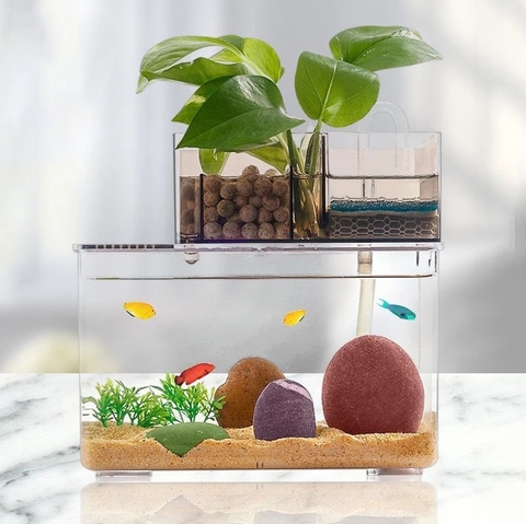 Hồ cá để bàn mini lọc tràn siêu sạch, decor văn phòng