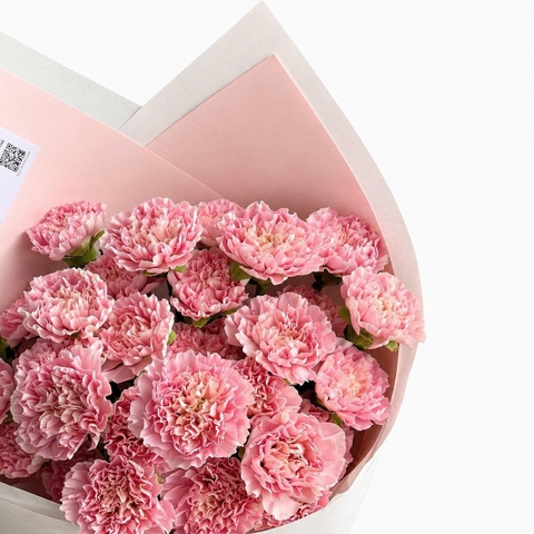 Bó Hoa Cẩm Chướng Hồng Bọc Giấy Trắng | Quà Tặng 20/10 Cho Mẹ · Cô Giáo · Bạn Bè · Đồng Nghiệp [HCM Only]