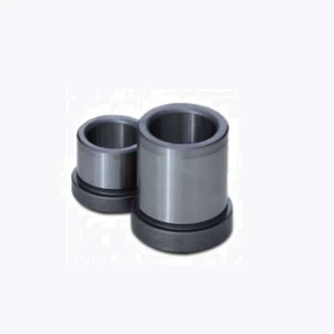 Bạc dẫn hướng GBAM