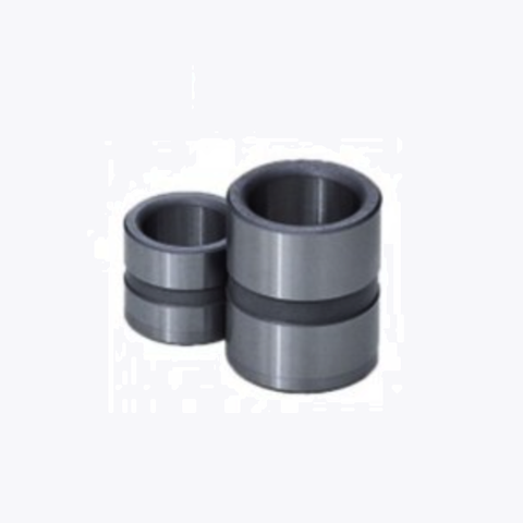 Bạc dẫn hướng GBBM