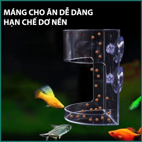 Dấu Hiệu Cho Cá Ăn Quá Nhiều Và Cách Khắc Phục