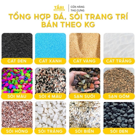 Cách Phối Sỏi, Đá Và Tiểu Cảnh Hồ Cá Đẹp
