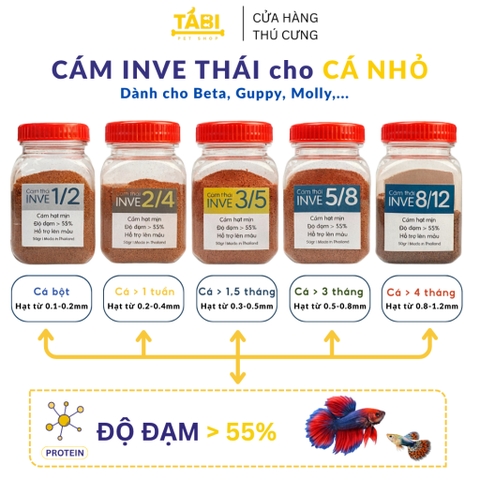 Cám INVE Dùng Cho Loại Cá Nào? Cách Chọn Và Cho Ăn Đúng