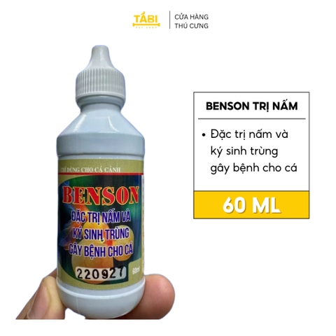 Dấu Hiệu Cá Bị Nấm Ngoài Da Và Cách Xử Lý An Toàn