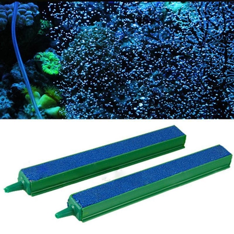 Cách Lắp Máy Sủi Oxy Hồ Cá Đầy Đủ Phụ Kiện