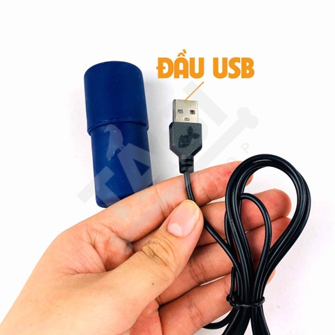 Có Nên Bật Máy Sủi Oxy Cả Ngày? Khi Nào Có Thể Tắt?