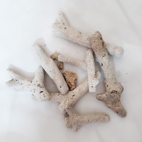 San Hô Lọc Nước Hồ Cá 1kg - San Hô tăng pH Bể Cá [1KG SAN HÔ]