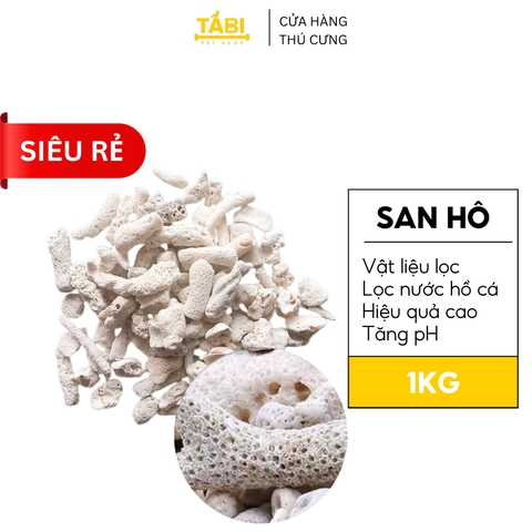 San Hô Lọc Nước Hồ Cá 1kg - San Hô tăng pH Bể Cá [1KG SAN HÔ]