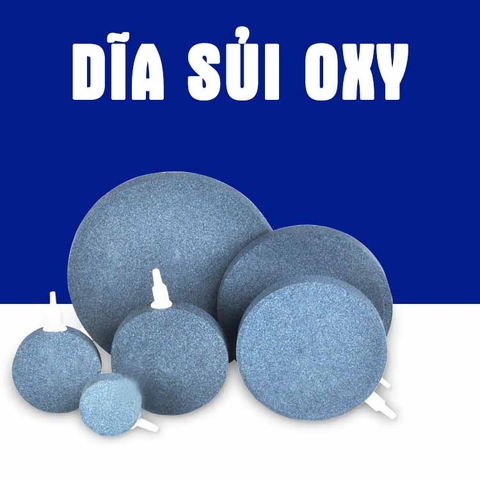 Sủi Dĩa Oxy Hồ Cá - Đá Sủi Dĩa Oxi Mịn Cho Bể Cá Thuỷ Sinh