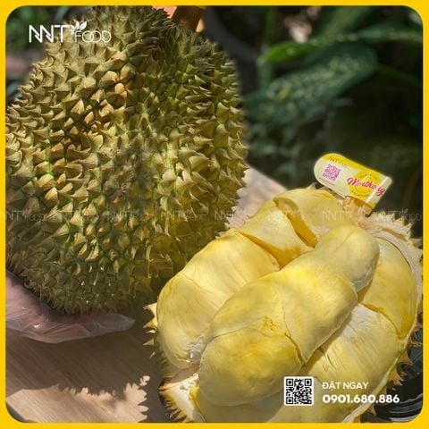 SẦU RIÊNG MONTHONG