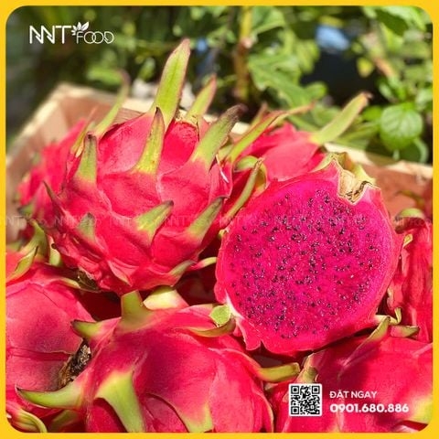 THANH LONG BÚP SEN RUỘT ĐỎ