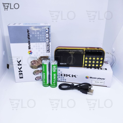 Loa Nghe Pháp, Kinh Phật, Tắm Ngôn Ngữ BKK K39 K51 B851 B851S, Nghe Thẻ Nhớ, USB, FM Radio, Có Jack Tai Nghe