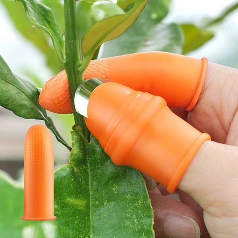 Ngón Tay Cái Hái Trái Cây Và Rau Củ Kèm Thêm 6 Bao Tay Ngón Trỏ
